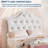 Twin Size Bed Frame with LED Lights & Velvet Crystal Button Headboard, Upholstered Princess/Girl Platform Bed with Storage Drawer, Noise Free, No Box Spring Needed for Kids, Teens, Pink-1571003002