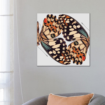 Butterfly Mirror by Art Mirano - Wrapped Canvas Print