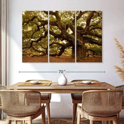 Harnek Charleston's Angel Oak Tree