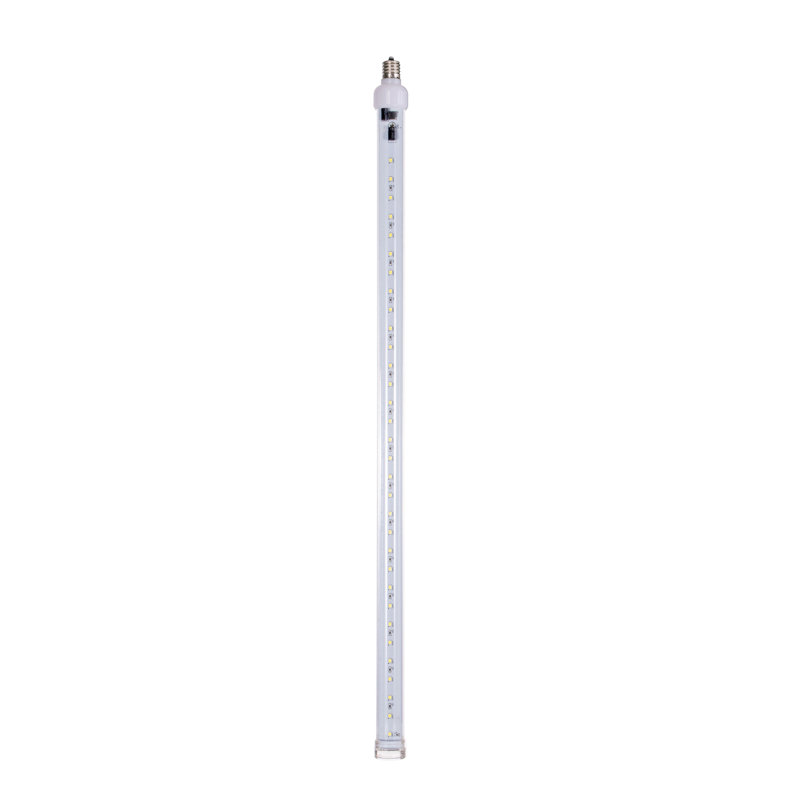 Ampoule à tube de neige