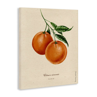 «Orange Fruit Portrait Canvas», conception par Danielle Murray