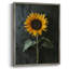 Impression encadrée FLORAL Series - bois massif-1535715654