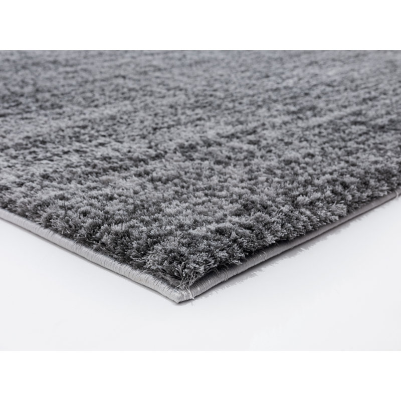 Tapis gris foncé à poils longs Wadena, Rectangle 3 pi 3 po x 4 pi 11 po
