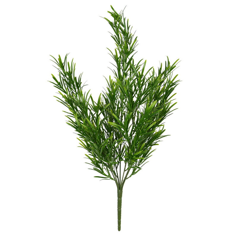 Arbustes podocarpus