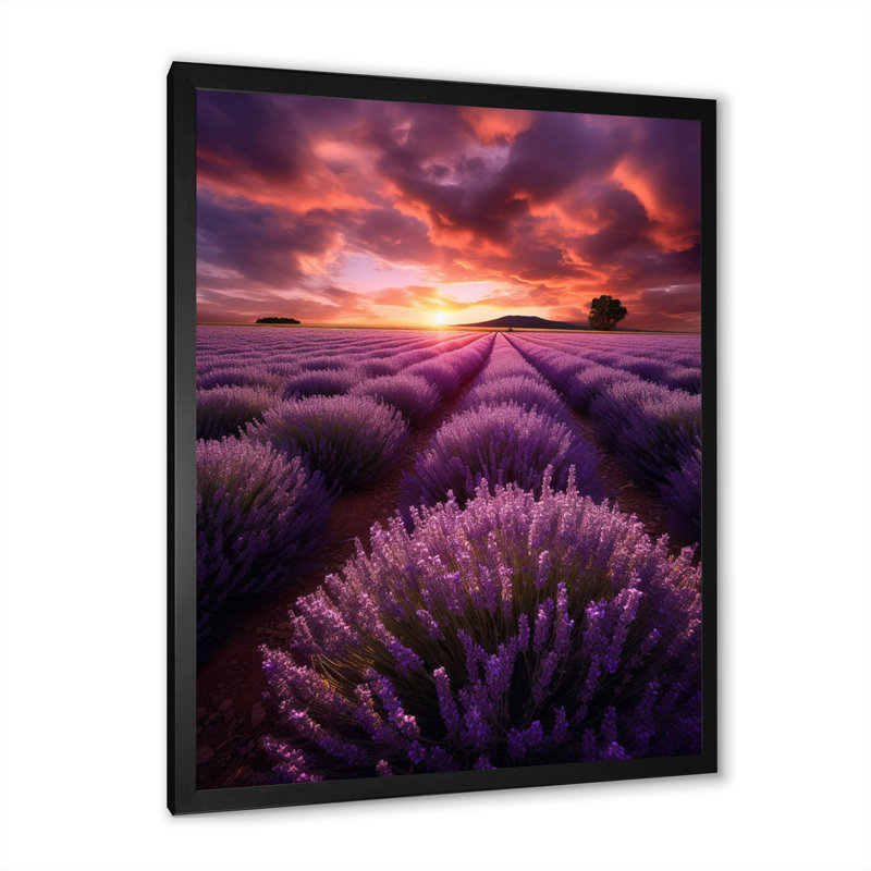 Lavande enchanteresse - impression, Cadre photo noir, H 20 po x l 12 po x P 1 po
