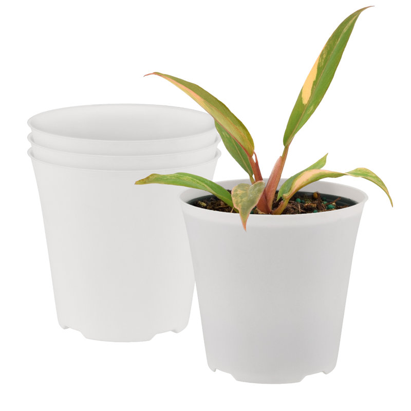 Cache-pot standard 4 po - blanc - paquet de 4, H 4 po x l 4,3125 po x P 4,3125 po, Blanc