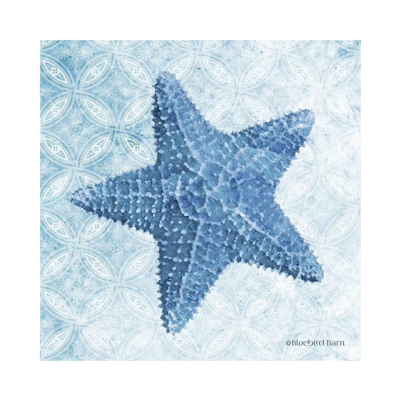 Starfish I by Bluebird Barn - Wrapped Canvas Print, 30.48 cm H x 30.48 cm W