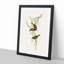 White-Throated Honeyeaters by Elizabeth Gould - Framed Print-55612156-55612159