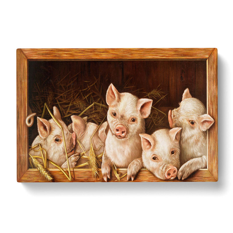 Prize Pigs - Wrapped Canvas Print, 50cm H x 76cm W x 3cm D