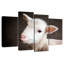 Brampt Baby Sheep-108860267