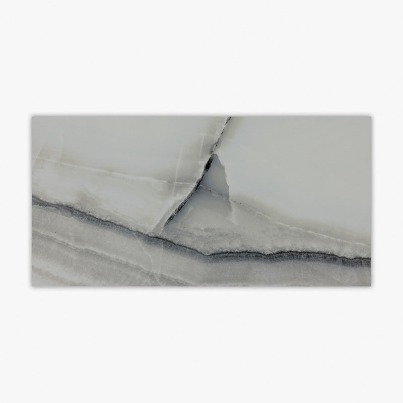 24" x 48" Porcelain Stone Look Wall & Floor Tile, Gray Onix Glossy