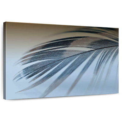 Plume simple Kerner