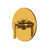 Unlacquered Brass