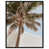 Black Floater Frame selected