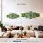 Plantes grasses en spirale-633410912