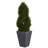 Cypress Tree in Slate Planter UV Resistant