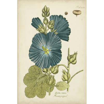 Eloquent Botanical IV by Vision Studio - Painting