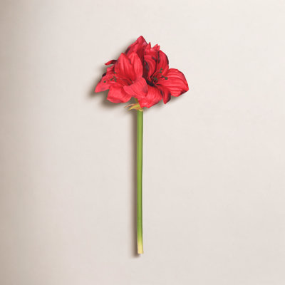 Amaryllis Arrangement