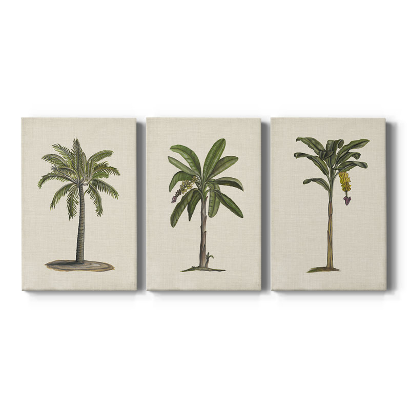 3 toiles de palmier britannique AU CH - British Palms I, H 12 po x l 24 po