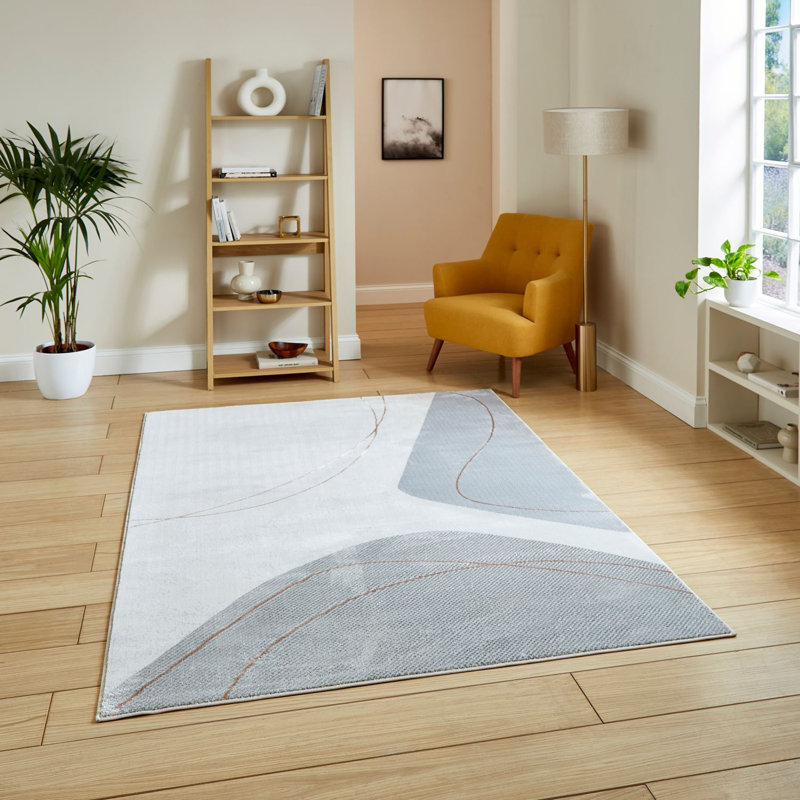 Apollo area rug Machine Woven Rectangle, Rectangle 120 x 170cm