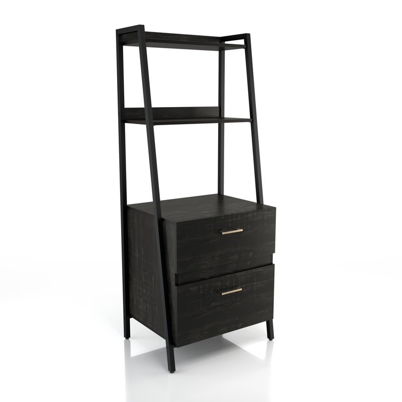 25.59 " Wide 2 Vertical Filing Cabinet, Black