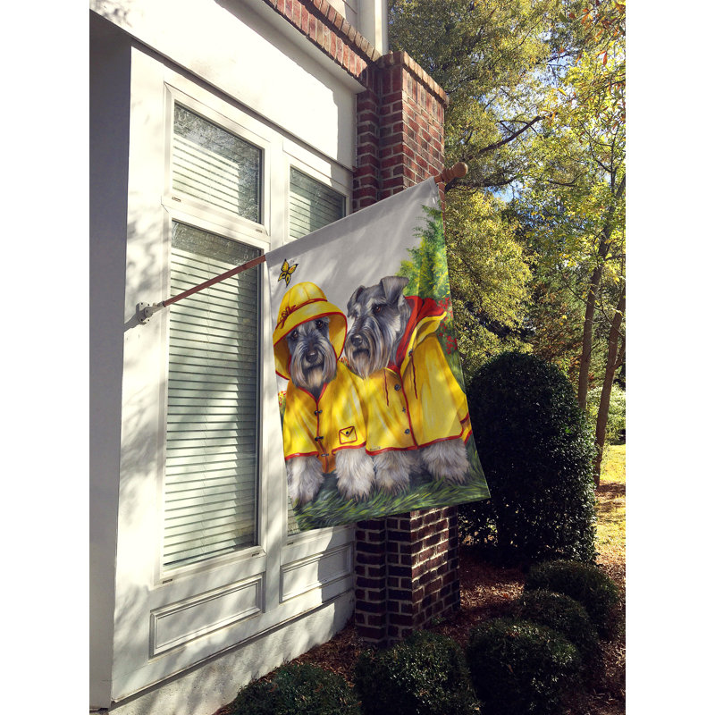 Drapeau de maison Hvidovre Sheltie Halloween en polyester à 2 faces 3 x 2 pi, Schnauzer avec manteau de pluie