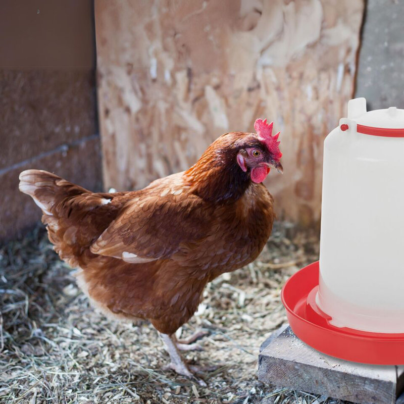 Aurion Freestanding Feeding Station