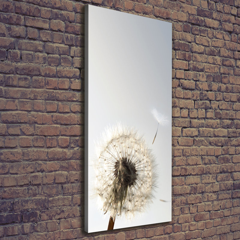 Dandelion - Wrapped Canvas Print