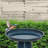 Gleeful Garden Metal Outdoor Bird Bath-1068293510