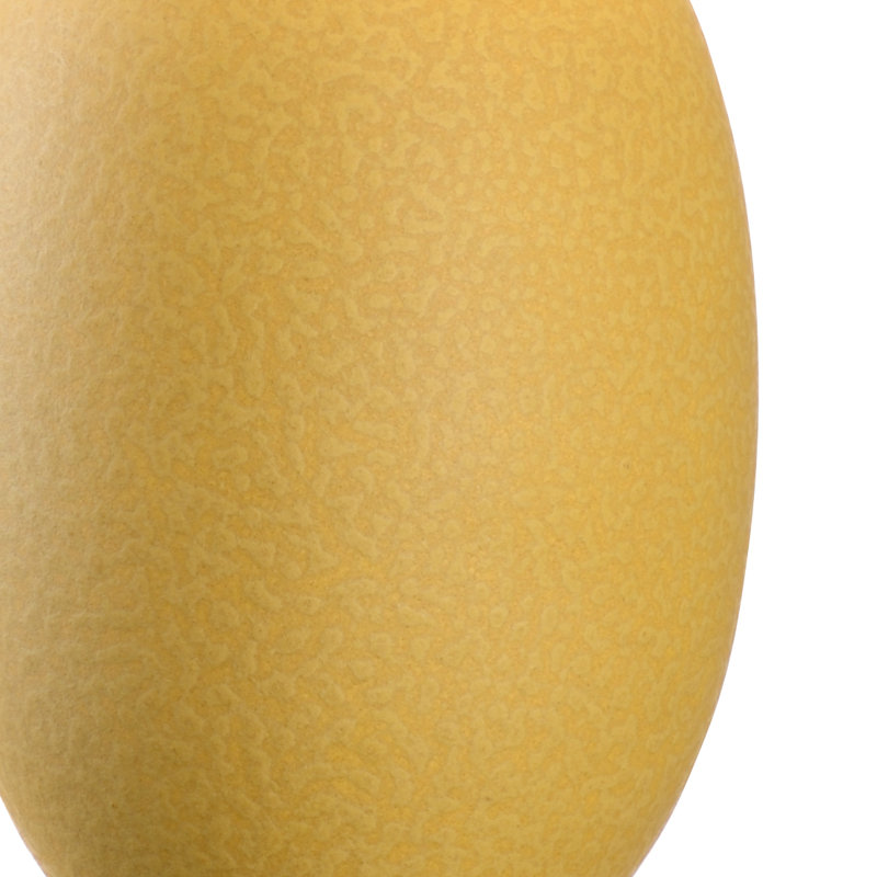 Lisbon Table Lamp