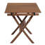 Table de camping pliante Valenzuela