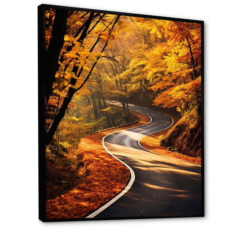 Orange orange, route d'automne, Cadre flottant noir, 32" H x 16" W
