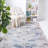 Oriental Indoor Rug-1811546465