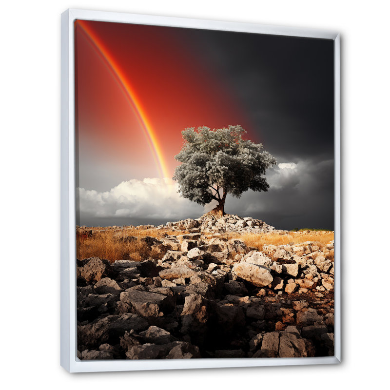 Paysage arc-en-ciel monochrome Euphoria, H 20 po x l 12 po x P 1 po, Cadre flottant blanc