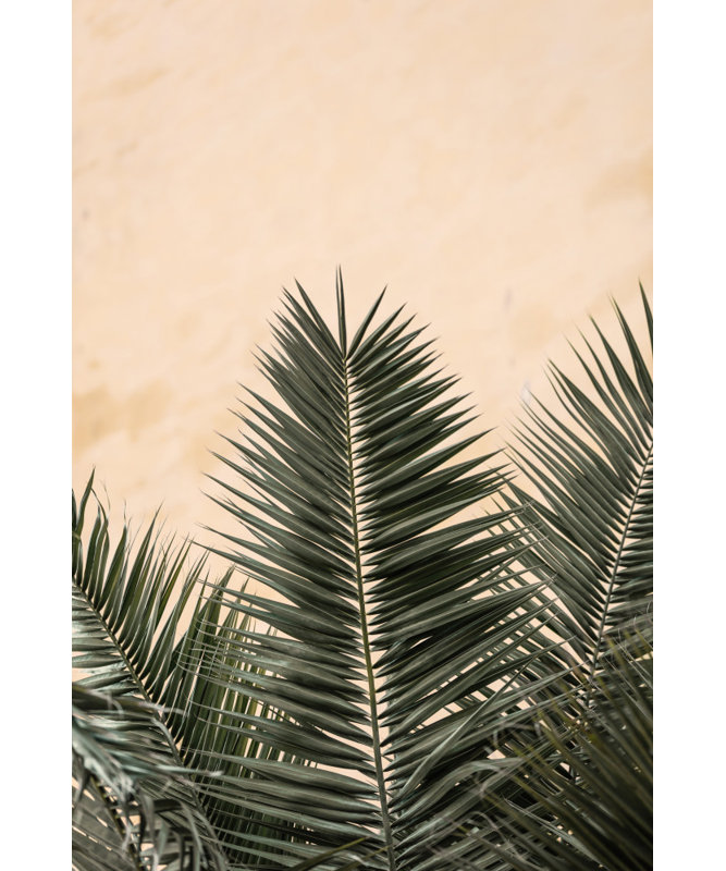 Wrapped Canvas Print, 50.8cm H x 76.2cm W