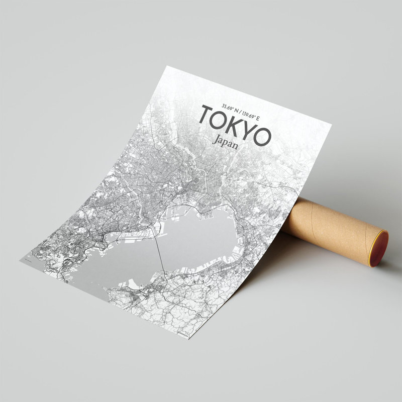 Carte de la ville de Tokyo, impression, H 20 po x l 16 po, Gris / blanc