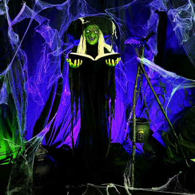 Haunted Hill Farm Life-Size 6 Ft. Poseable Witch with Spell Book, Lights and Sound, Indoor/Covered Outdoor Halloween Home Décor