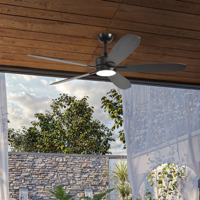 Bluejay 56" Indoor/Outdoor Ceiling Fan with Light and Remote, 6CCT Dimmable LED Light Kit - Matte Black with Blackened Oak/Dark Walnut