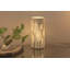Tiptonville Novelty Lamp
