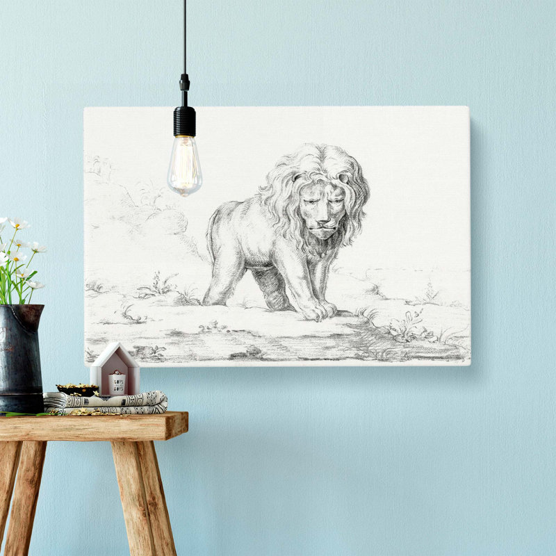 Lion by Jean Bernard - Wrapped Canvas Print, 50cm H x 76cm W x 3cm D
