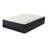 Shannan 9-Inch Medium Firm TightTop Single Sided Hybrid Mattress with Box Spring/Foundation-421566004-519731342