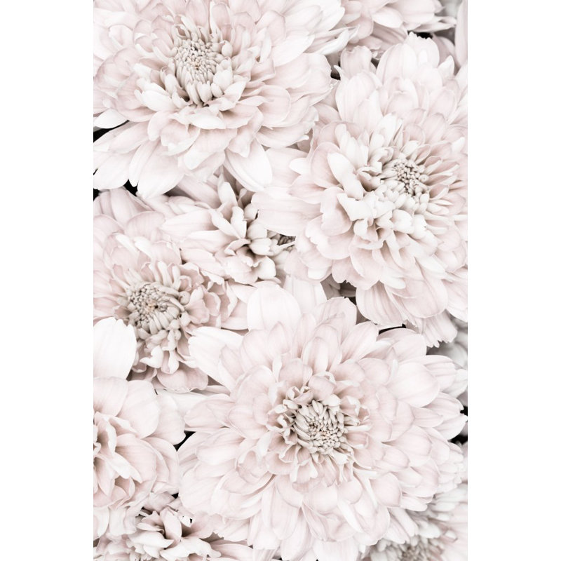 Wrapped Canvas Print, 50.8cm H x 76.2cm W