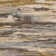 Bartee Abstract Indoor Rug