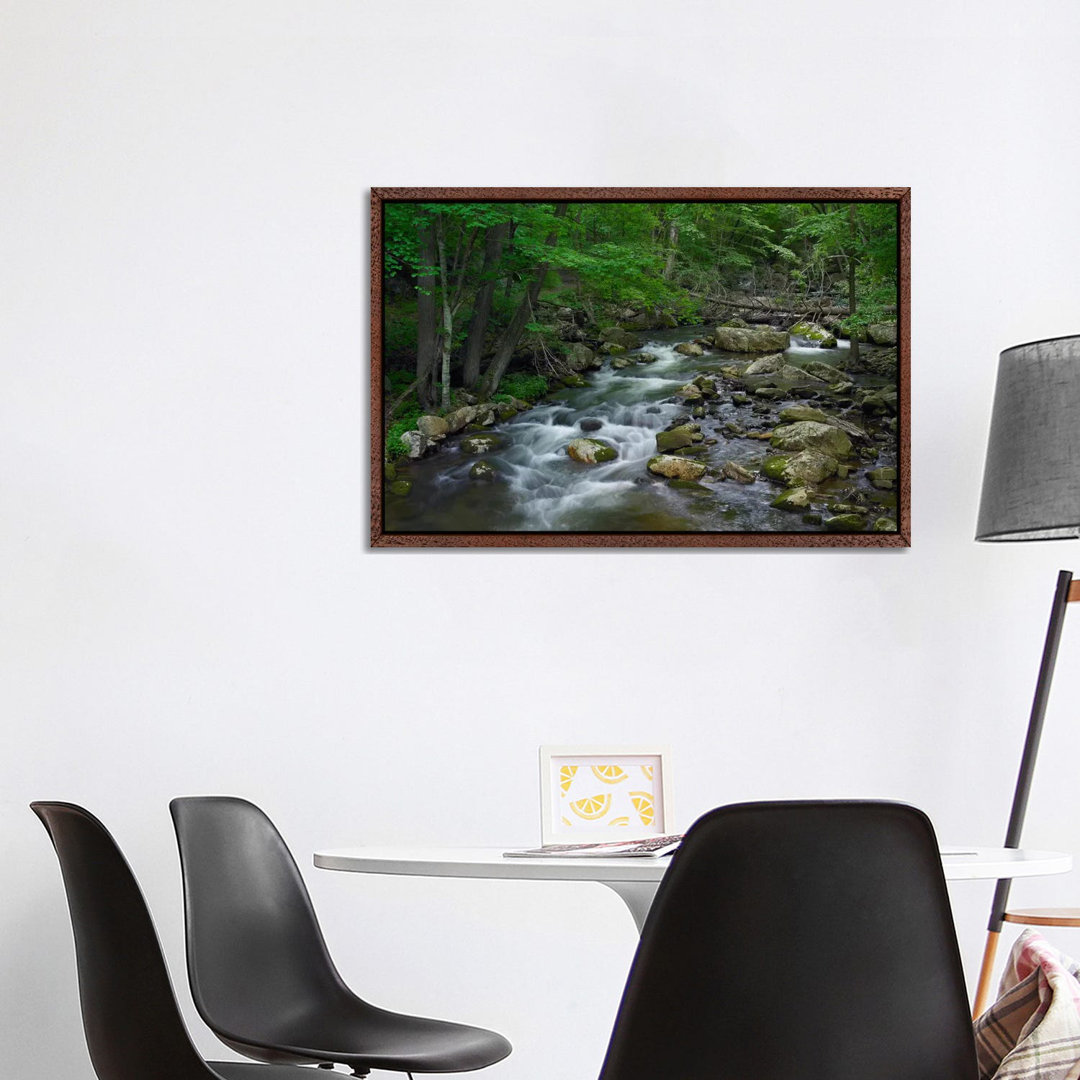 Little Stony Creek Flowing Through Jefferson National Forest, Virginia von Tim Fitzharris - Gallery-Wrapped Canvas Giclé...