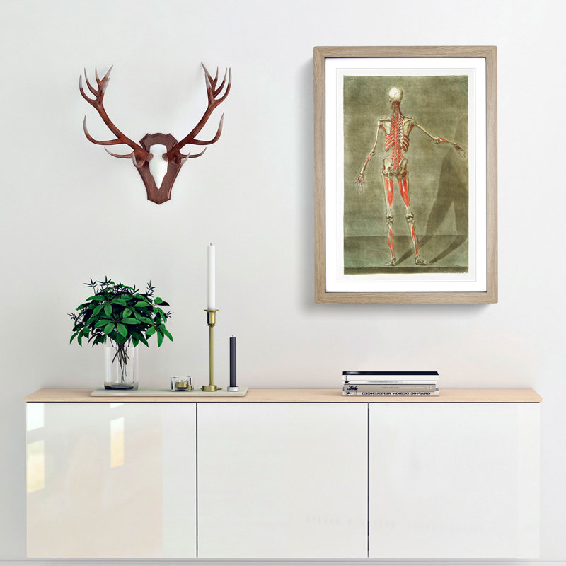 Anatomical Illustration of a Male No. 8 by Gautier-Dagoty - Picture Frame Painting Print, 87cm H x 62cm W x 2cm D, Oak Framed