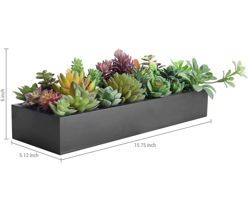 Plante grasse artificielle 3 po en pot
