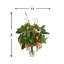 Magnolia Leaf And Berry Holiday Arrangement With Plaid Bows