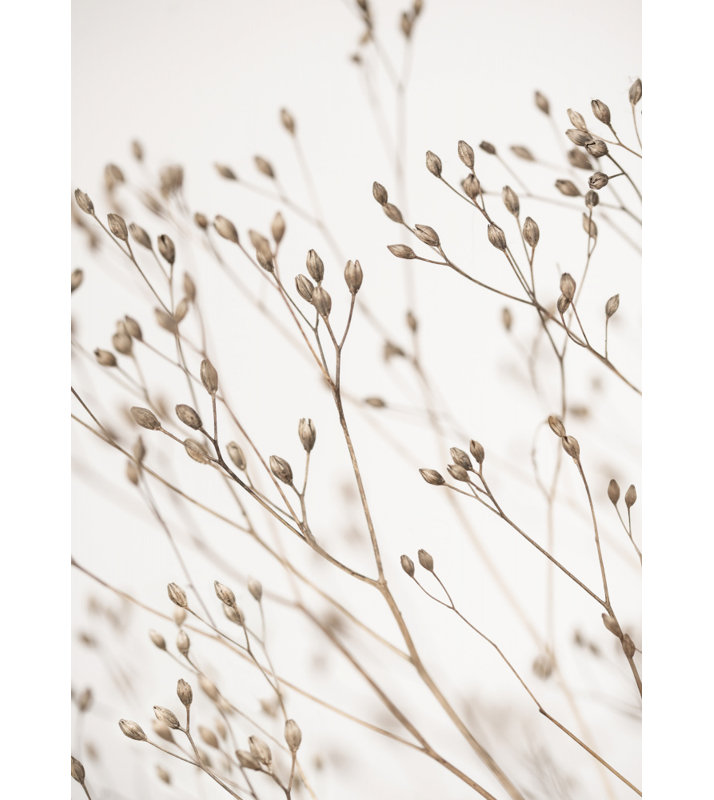 Wrapped Canvas Print, 76.2 cm H x 50.8 cm W