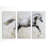 " Gallop " 3 - Pieces-23818386