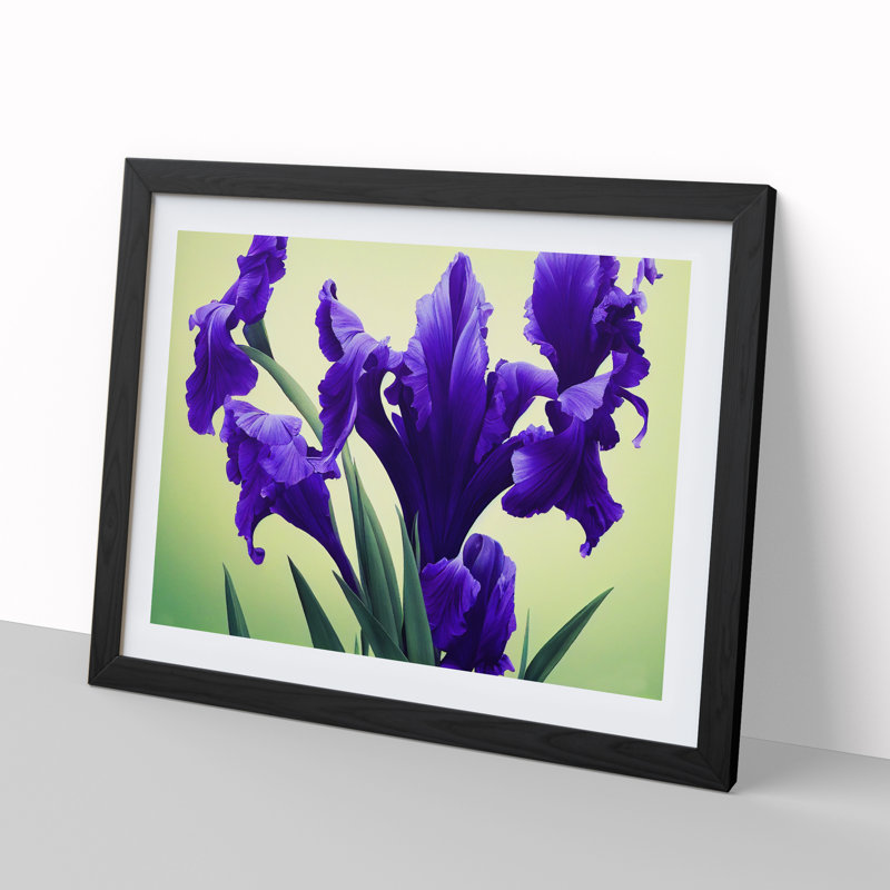 Evolving Iris Flowers - Single Picture Frame Painting, Black, 46cm H x 64cm W x 2cm D